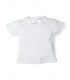Camiseta cuello bebe algodon popys m/c